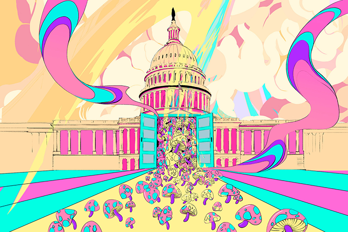 RollingStone: Will the Federal Government Finally Embrace the Psychedelic Revolution?