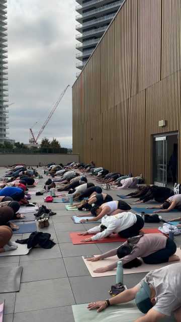 A rooftop yoga sound bath event ✨ three of our favourite things 🍄🦋🌸 thank you @themindful.lab & @evolve_strength_brentwood , @dianabcollective for creating & holding space for the community💫
•
•
•
#rooftopyoga #soundbathmeditation #mushroomchocolate #keepgrowing