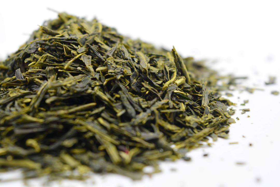 psilocybin-mushroom-sencha-fujiama-green-tea-5