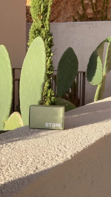 We love the heat 🔥🌞 #stemsummersōl