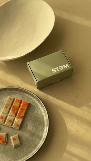Find your passion. Find your purpose. Find your SŌL. #stemsummersōl