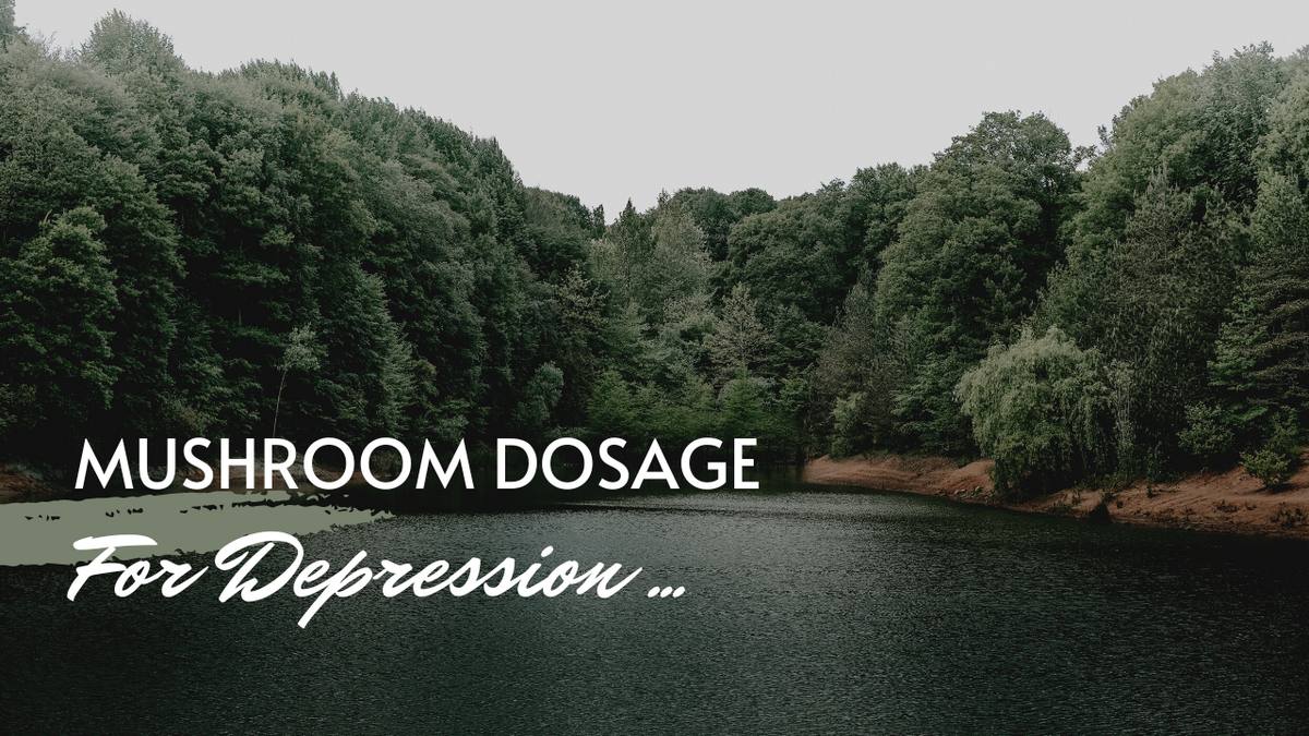 Mushroom Dosage for Depression