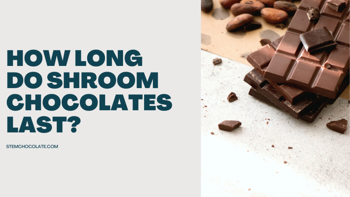 How Long Do Shroom Chocolates Last? STEM Chocolate