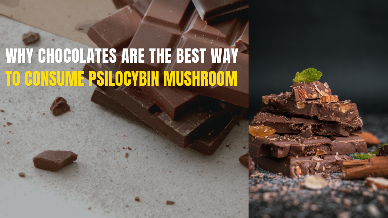 Why Chocolates are the Best Way to Consume Psilocybin Mushrooms: A Tasty and Discreet Alternative
